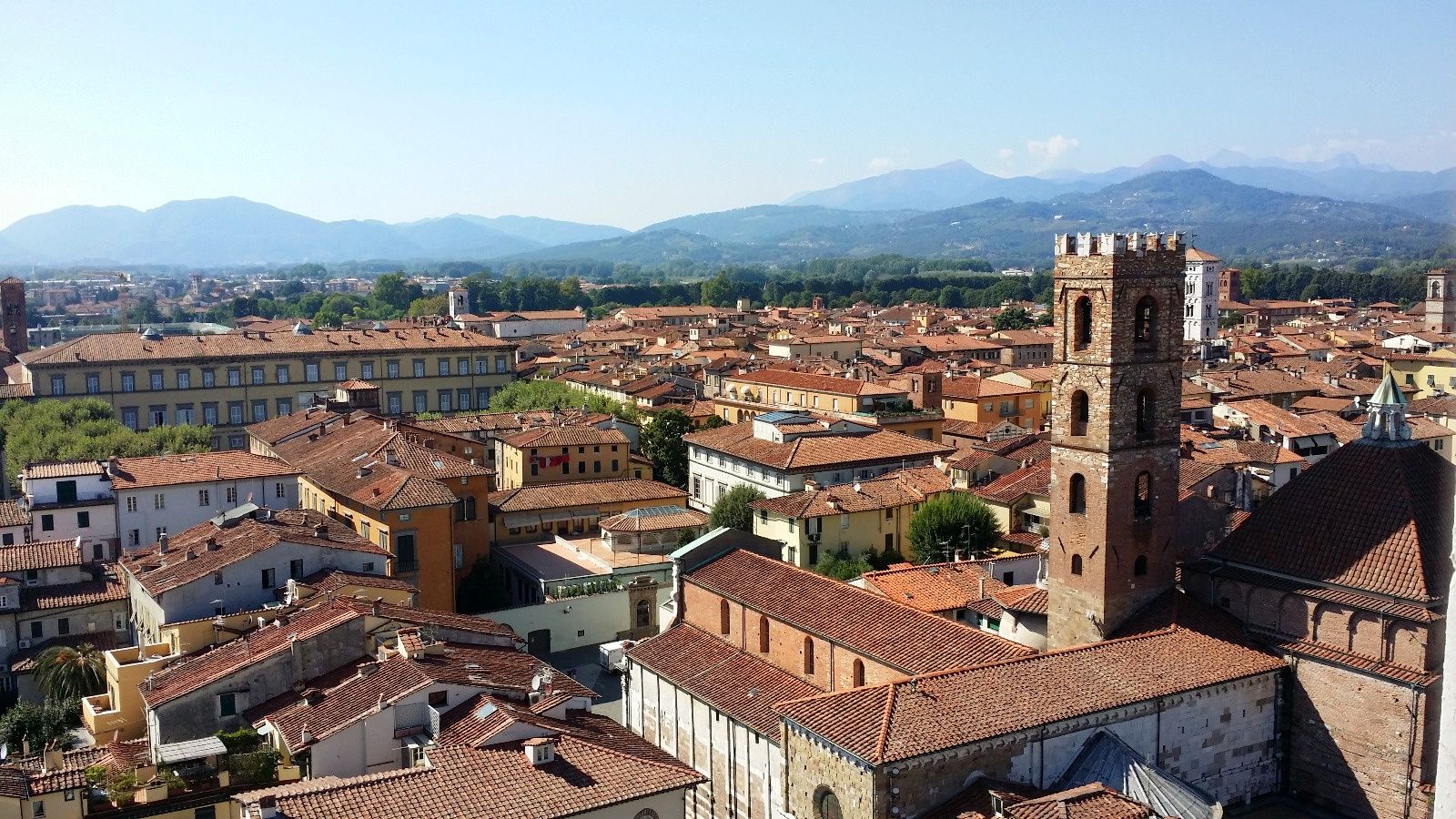 cosa da vedere a lucca
