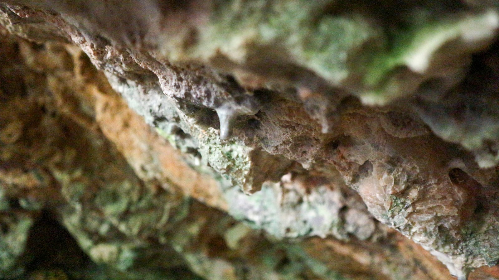 Eremo della Spelonca, sentiero tra natura e misticismo del Monte Pisano